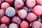 Picture of YN WILD EURO CRANBERRIES 1KG
